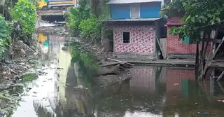 প্রতিদিন বাড়ছে ডেঙ্গু রোগী, উদ্বেগে ঝালকাঠির স্বাস্থ্য বিভাগ